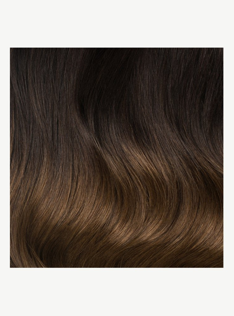 Ombre Chestnut